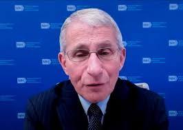 In interview with municipal league, Dr. Fauci cites 'critical role' of  local government in taming pandemic