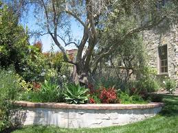 Native Mediterranean Landscape Design Photos Mediterranean Landscape Design Olive Trees Landscape Landscape Design
