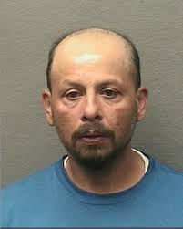 Men arrested, accused of robbing homes while posing as tree trimmers