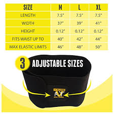 Waist Trimmer Premium Ab Belt With Lower Back Lumbar