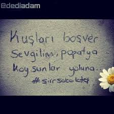 Tek Ihtiyacim Neydi Biliyor Musun Bir Papatya Yapragi Daha Bu Yuzden Kuslari Bos Ver Kadin Papatya Koysunlar Yoluna Dediada Papatyalar Siir Instagram