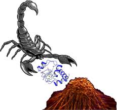 Societal and in stitu tio n al levels. Skip To Main Content Wiley Online Library Search Term Advanced Search Citation Search Login Register Journal List Menu Journal About Overview Society Information Contact Editorial Board Advertise Permissions Contribute Author Guidelines Open