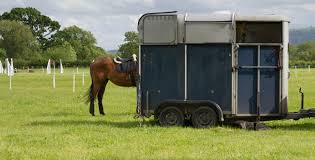Any type of trailer covered! Do S And Don Ts Specialist Horsebox Insurance