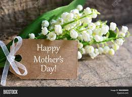 The most common flowers sent for mother's day are easily pink rose bouquets, but there are other there's something almost magical about seeing a big box coming your way and not knowing exactly what it is. Bouquet Lilies Valley Image Photo Free Trial Bigstock