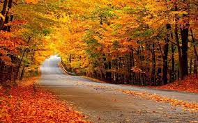 Autumn New Car Wallpaper Car Backgrounds Car Wallpapers