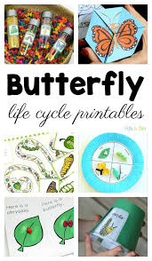 Check spelling or type a new query. Life Cycle Of A Butterfly Printables To Use With Your Students Fun A Day