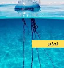 إذن فكرت كيف يمكن أن أكون برتغاليًا؟ so i was thinking, how could i be portuguese? Ø§Ù„ÙƒØ±ÙØ§Ù„ Ø§Ù„Ø¨Ø±ØªØºØ§Ù„ÙŠØ© Ø§Ù„Ø­Ø±ÙŠÙ‚Ø© Radio 8 Menzel Bourguiba Facebook
