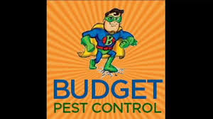 Don't let bugs get the best of you! Budget Pest Control Home Facebook