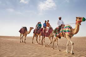 Free for commercial use no attribution required high quality images. Top 6 Things To Do In Dubai S Desert Visit Dubai