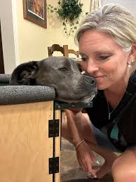 Tampa, FL Maserati has a medical condition where her esophagus is slightly  enlarged, causing occasional regurgitation and aspiration of food into her  lungs. Maserati should be fed upright in a Bailey Chair