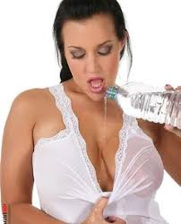Curvy model leanne crow stripping and posing sexy. Virtua Girl Carmen Croft At Erosberry Com The Best Erotica Online