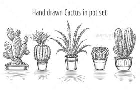 A cactus is both an ornamental plant, due to its spiky appearance, and a crop plant with a variety of uses. Beauty Cacti Hand Drawn Cactus In Pot Set Cactus Drawing How To Draw Hands Plant Art