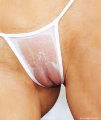 Shawn johnson camel toe latimesblogs.latimes.com. Camel Toe Pussy Squirt Cumception
