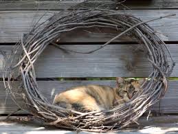 Cats love having outside space to explore and roam but you should make sure that your cat is ready to go outside. Top 10 Tips Of How To Create A Cat Friendly Garden