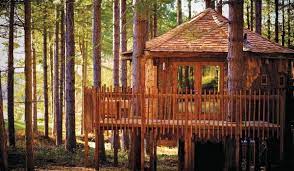 From forests to woodland parks and lakeside lodges. Uk Log Cabin Holidays