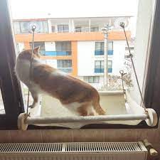 peyrev ahsap cama asilan kedi yatagi buyuk boy lux tasarim fiyati