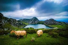 The road that leads to the lakes starts at covadonga and is . Lagos De Covadonga Your Complete Travel Guide Free Map