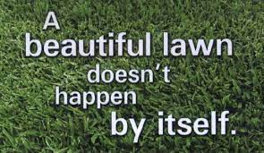Want To Make Your Lawn Spring Back After Winter Lawn Care Tips Lawn Care Lawn Care Business