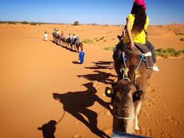 And man, our camel trek and the sands of the sahara did not disappoint. Camel Ride In Merzouga Night In The Desert Morocco Home Facebook