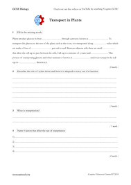 Some of the membrane proteins have carbohydrate parts attached to help cells in recognize each other and certain molecules. Gcse Biology 9 1 Transport In Plants Translocation And Transpiration Worksheet Answers Teaching Resources
