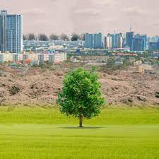 Las emergencias que se afrontan día a día son de carácter natural o antrópico y cada vez más devastadoras. Contingencia Ambiental Que Es Por Que Existe Y Ejemplo De Plan