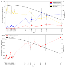 Amazon amazon ca amazon au. Plants Free Full Text Rna Seq Time Series Of Vitis Vinifera Bud Development Reveals Correlation Of Expression Patterns With The Local Temperature Profile Html