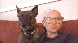 Has anyone seen our missing dog Blue in Alanson?