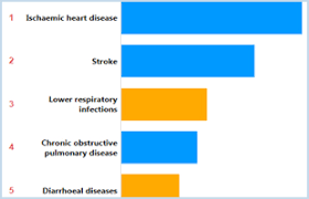 who world health organization