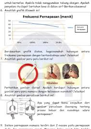 Karena dalam permainan ini kita akan selalu mengandalkan kemampuan & kekompakan tim. Pengaruh Pendekatan Inkuiri Terstruktur Terhadap Keterampilan Proses Sains Siswa Pada Konsep Sistem Pernapasan Manusia Kuasi Eksperimen Di Mts Yasti I Cisaat Sukabumip