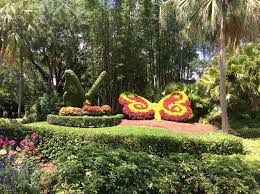 All coupons deals free shipping verified. Inspiration From Topiaries At Busch Gardens Turf Magazine