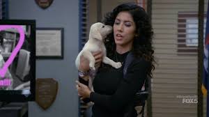 412 views, 1 upvote, 2 comments. Rosa Puppy B99 Blank Template Imgflip