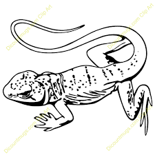 The animals that have adapted to the wild and hot climate in the desert are generally tough and masters at preserving. Desert Animals Clipart Clip Art Bay