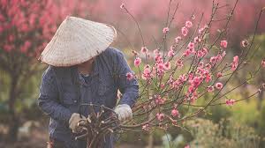 Maybe you would like to learn more about one of these? Vietnamese New Year Traditions A Guide To The 12 Days Of Táº¿t Wide Eyed Tours