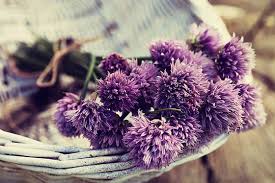 If noone is at the given address to receive the delivery, our driver is. Edible Flowers Blooms Interflora