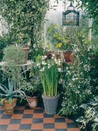 The Cold Hard Facts On Protecting Potted Plants Balcony Plants Plants Outdoor Plants