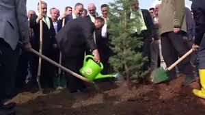 Vatandaşlar anneler günü'nde annemin ağacı kampanyası hakkında araştırmalar yapmaya başladı. 11 Milyon Agac Bugun Fidan Yarin Nefes Kampanyasi Bursa