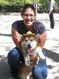 All our beautiful puppies are come from our professional private breeders…. 5 Best Corgi Breeders In New York 2021 We Love Doodles