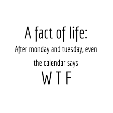 A Fact Of Life After Monday And Tuesday Even The Calendar Says Wtf Rusafu In 2020 Funny Quotes Sayings Real Quotes