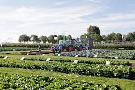 Then this is the right place for you to be 'cause we will take you through all the necessary steps involved in growing a successful vegetable garden. The Future Of Sustainable Vegetable Varieties