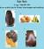 Egg And Mayonnaise For Hair Growth