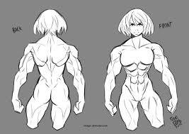 Through this course, you will learn how to draw anime characters, basic poses, and chibis, and how to use designdoll software for creating models in different poses. Study Female Muscle Anatomy By Lokigun Female Anatomy Reference Anatomy Drawing Body Reference Drawin In 2021 Anatomy Drawing Body Reference Drawing Figure Drawing