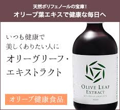 オリーブの葉の絶大な効果 オリーヴの森