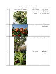 Hewan merupakan nama untuk makhluk hidup yang termasuk ke dalam kingdom animalia. Daftar Nama Tanaman Hias Docx Tanaman Botany