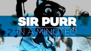 Umbc's costumed mascot has been known both as true grit and fever. Carolina Panthers Mascot Sir Purr In A Minute Video Abc News