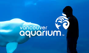 Image result for vancouver aquarium