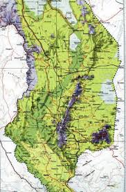 Image result for Ancylobothrys tayloris