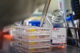 Injection site reactions occurred in 4% of those who received the antibody and 2% of those. Regeneron Says Antibody Cocktail Prevents And Treats Covid 19 In Animals Reuters