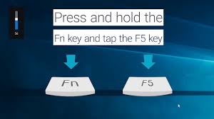 Press the f10 key to open the bios setup window. Solved Fn Key Disable Enable Dell Community
