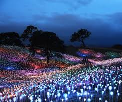 Brookgreen Gardens To Host Bruce Munro Southern Light Exhibit Holy City Sinner Light Art Installation Light Installation South Carolina Beaches