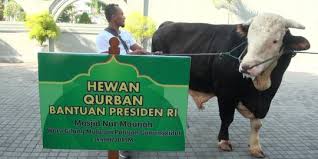 Check spelling or type a new query. Berontak Saat Mau Disembelih Sapi Dari Jokowi Tendang Warga Gunungkidul Merdeka Com